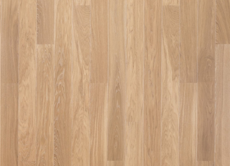Oak Medici